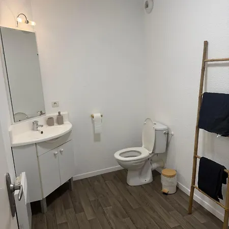 Cocon Lumineux Apartment Toulouse