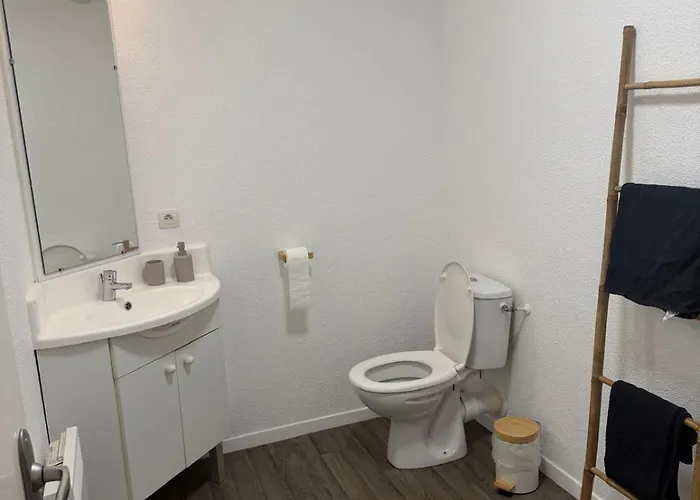 Cocon Lumineux 아파트 툴루즈